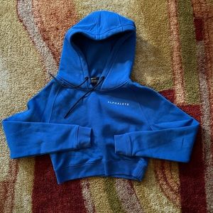 Alphalete Cropped Hoodie
